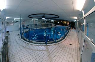  Entrenamiento de buceo en foso en París 